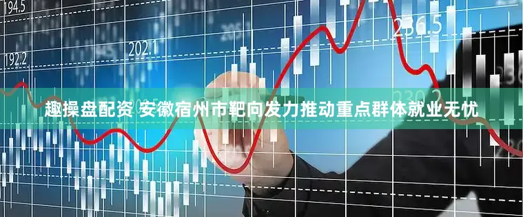 趣操盘配资 安徽宿州市靶向发力推动重点群体就业无忧